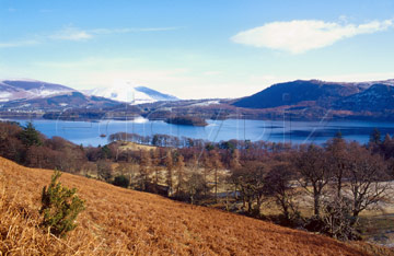 Comp image : ldm0423 : Looking over golden bracken in spring sunshine towards Derwentwater and Walla Crag, in the English Lake District, with Blencathra under snow in the distance.