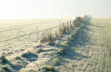 Comp image : sewi0119 