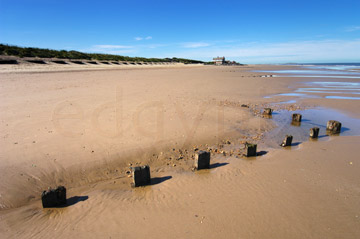 Comp image : shor022732 : A line of wooden posts in sunshine on a deserted sandy beach at low tide on the flat North Norfolk coast of England, under a clear blue sky