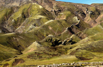 Comp image : torf0804 