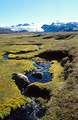 Bright moss lines an isolated stream in Icelandic landscape. Myrdalsj&ouml;kull [Myrdalsjokull] in the background