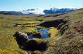 Bright moss lines an isolated stream in Icelandic landscape. Myrdalsj&ouml;kull [Myrdalsjokull] in the background